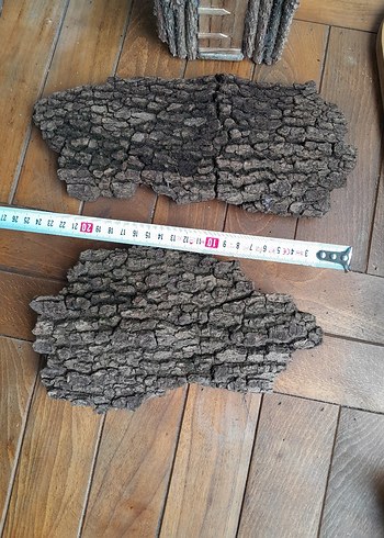 mantar meşe ağaç kabuğu corkbark - Görsel 4