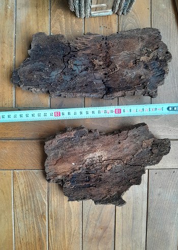 mantar meşe ağaç kabuğu corkbark - Görsel 3