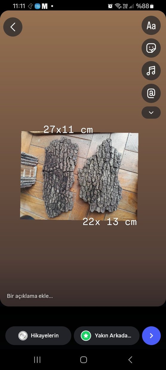 mantar meşe ağaç kabuğu corkbark - Görsel 2