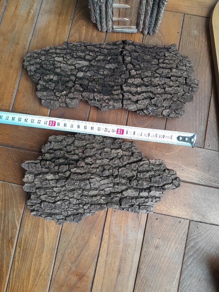 mantar meşe ağaç kabuğu corkbark - Görsel 4