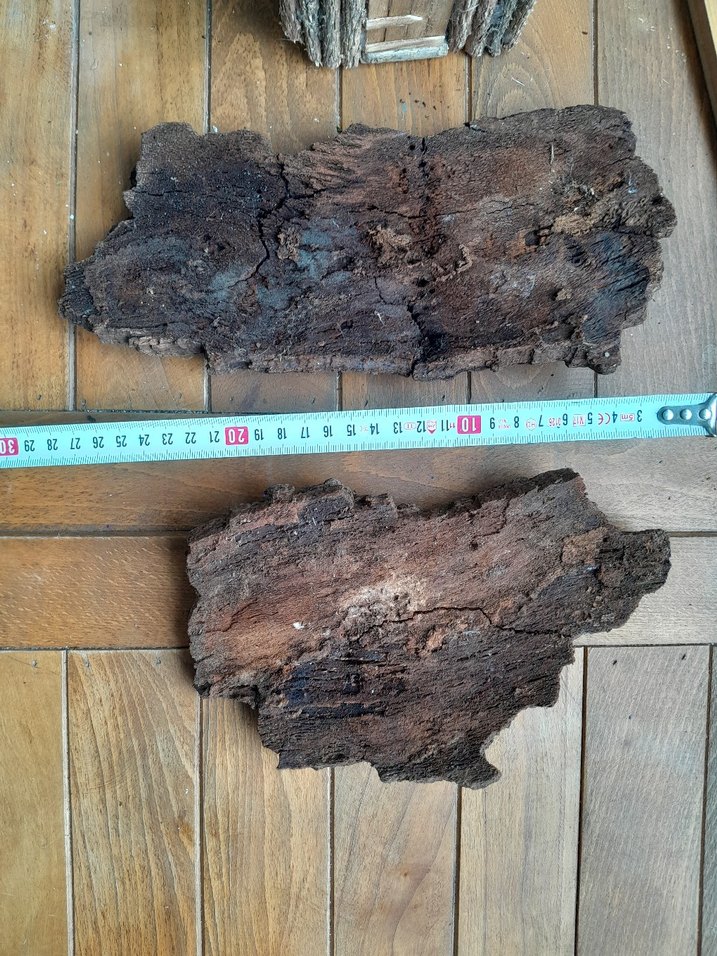 mantar meşe ağaç kabuğu corkbark - Görsel 3