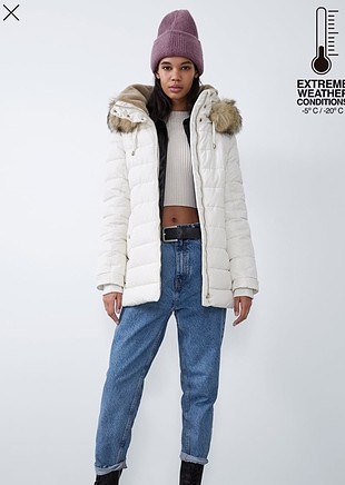 Zara dupont mont