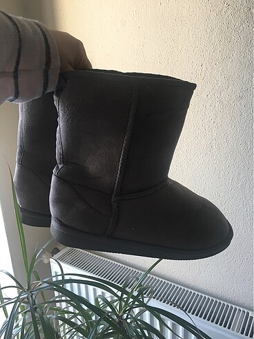 Ugg bot
