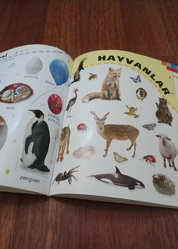 Çıkartmalı İlk Resimli Sözlüğüm - Görsel 3