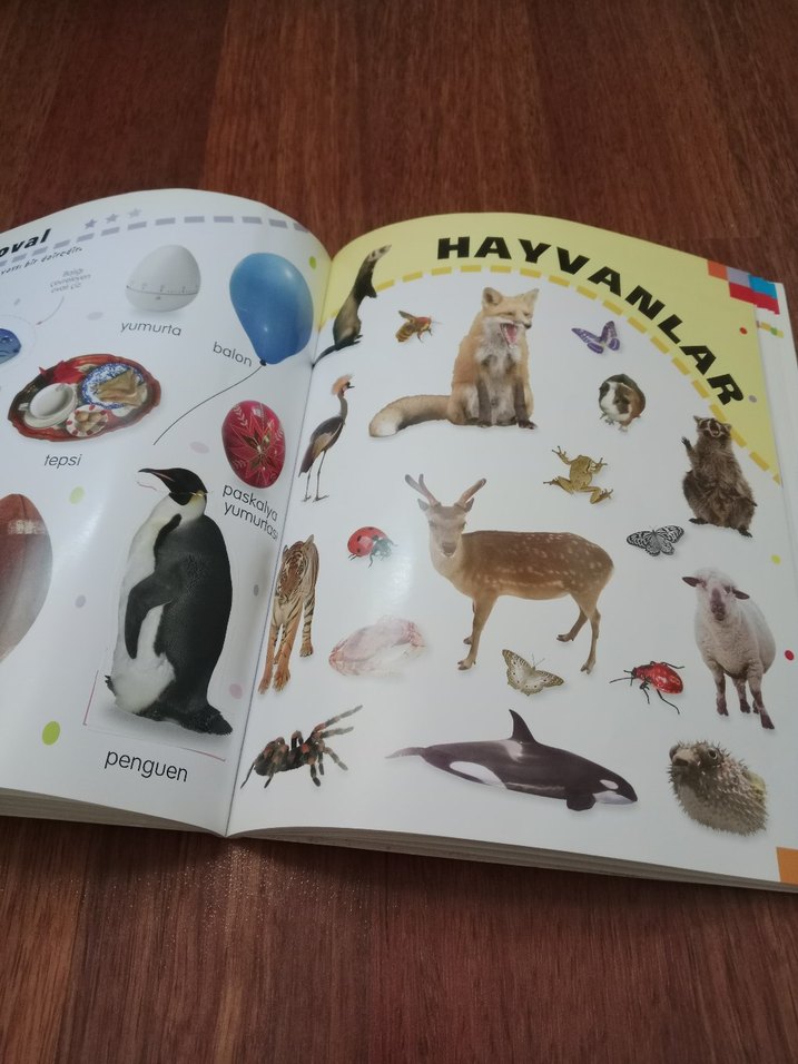 Çıkartmalı İlk Resimli Sözlüğüm - Görsel 3