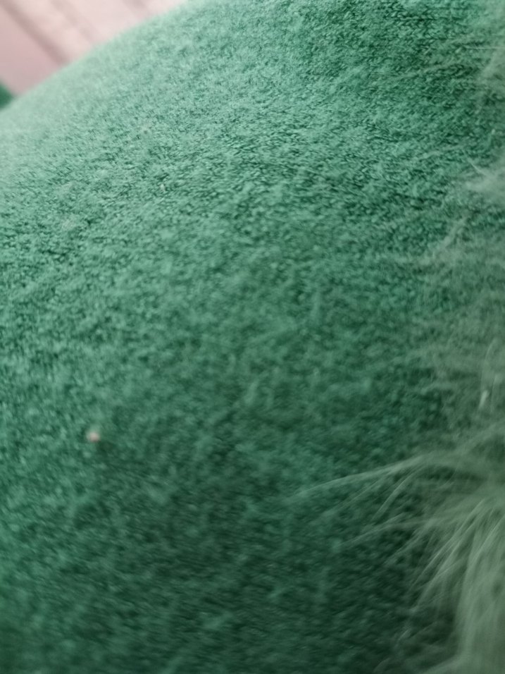 Yeşil Kürklü Nakışlı Triko Kazak - Görsel 3