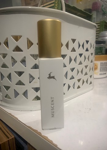 Xerjoff V Accento - Görsel 3