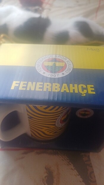 Fenerbahçe Fenerbahçe Spor Klubü Kupa Bardak