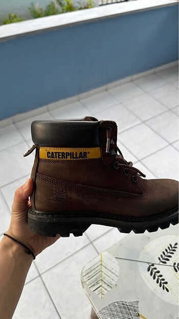 Cat Caterpıllar