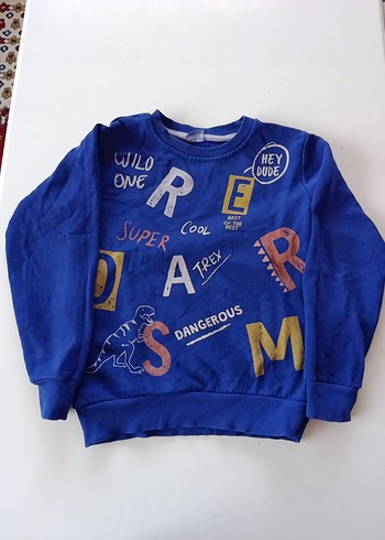 Diğer Mavi Baskılı Erkek Sweatshirt