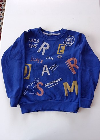 Mavi Baskılı Erkek Sweatshirt