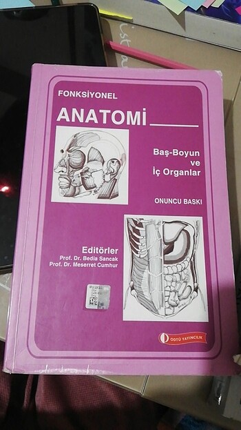 Fonksiyonel Anatomi baş boyun iç organlar