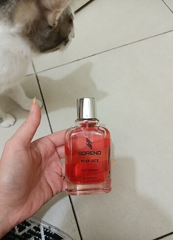  Beden Soreno roza luce parfüm 