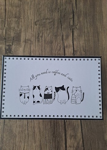 Kedi Temalı Beyaz Kahve Fincanı Seti - Görsel 3