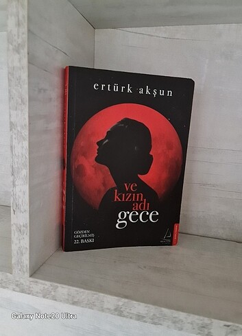 kitap roman ertürk akşun ve kızın adı gece destek yayınları