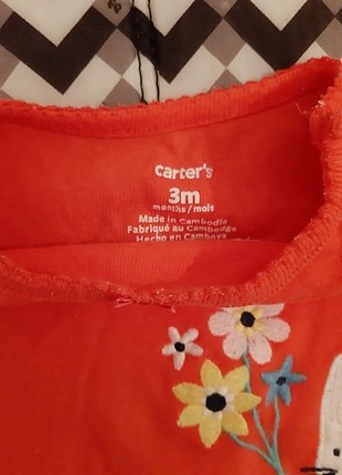 Carters ????????????