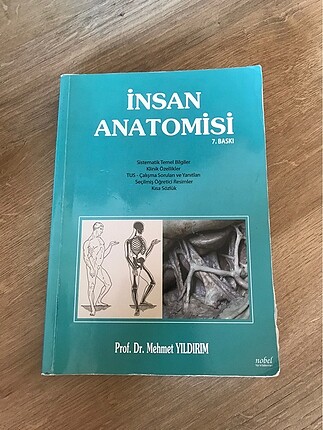 İnsan Anatomisi