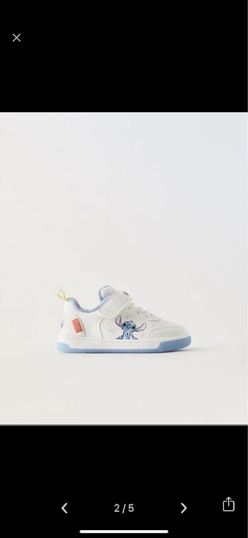 Zara Zara 24 no