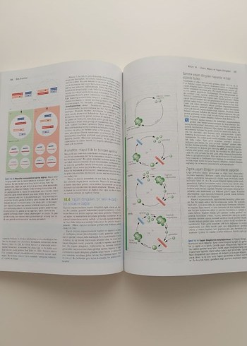 Bitki Biyolojisi Palme Yayıncılık - Görsel 5