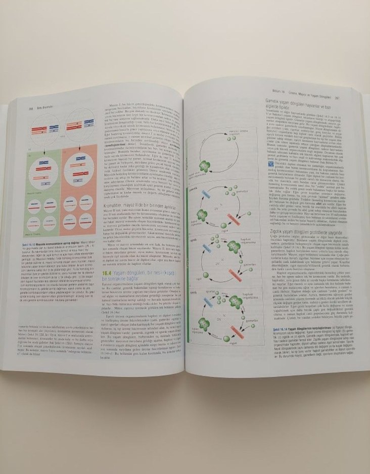 Bitki Biyolojisi Palme Yayıncılık - Görsel 5