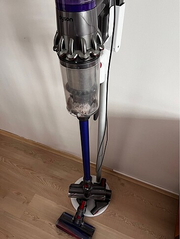  Beden Dyson