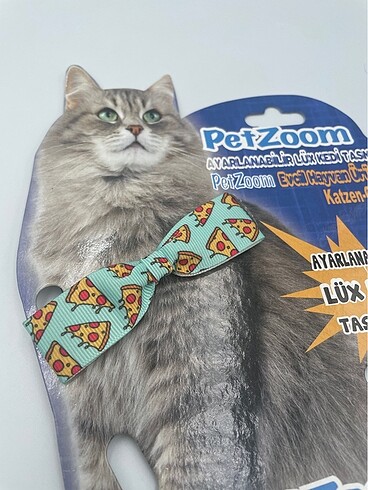 Kedi tasması