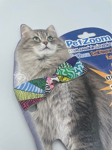 Kedi tasması