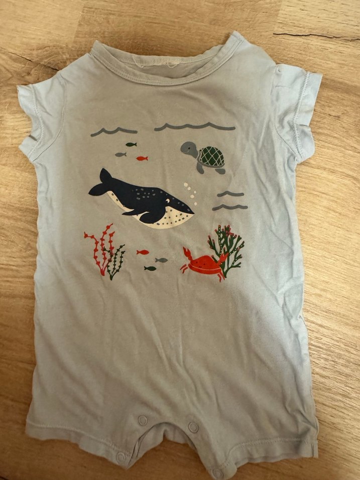 4 adet Pamuklu Kısa Kollu Erkek Bebek Body - Görsel 5