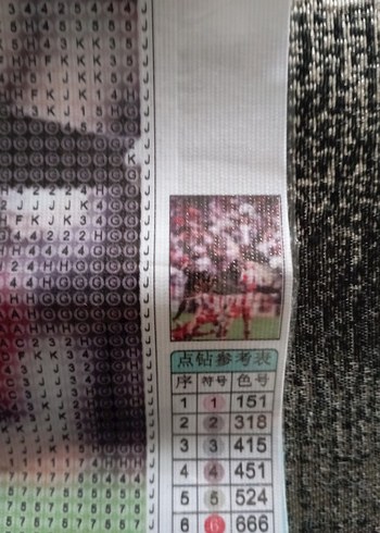 DIAMOND PAINTING (5D ELMAS BOYAMA SETI) - Görsel 2