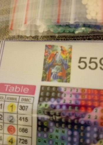 diamond painting (5DELMAS BOYAMASETI) - Görsel 2