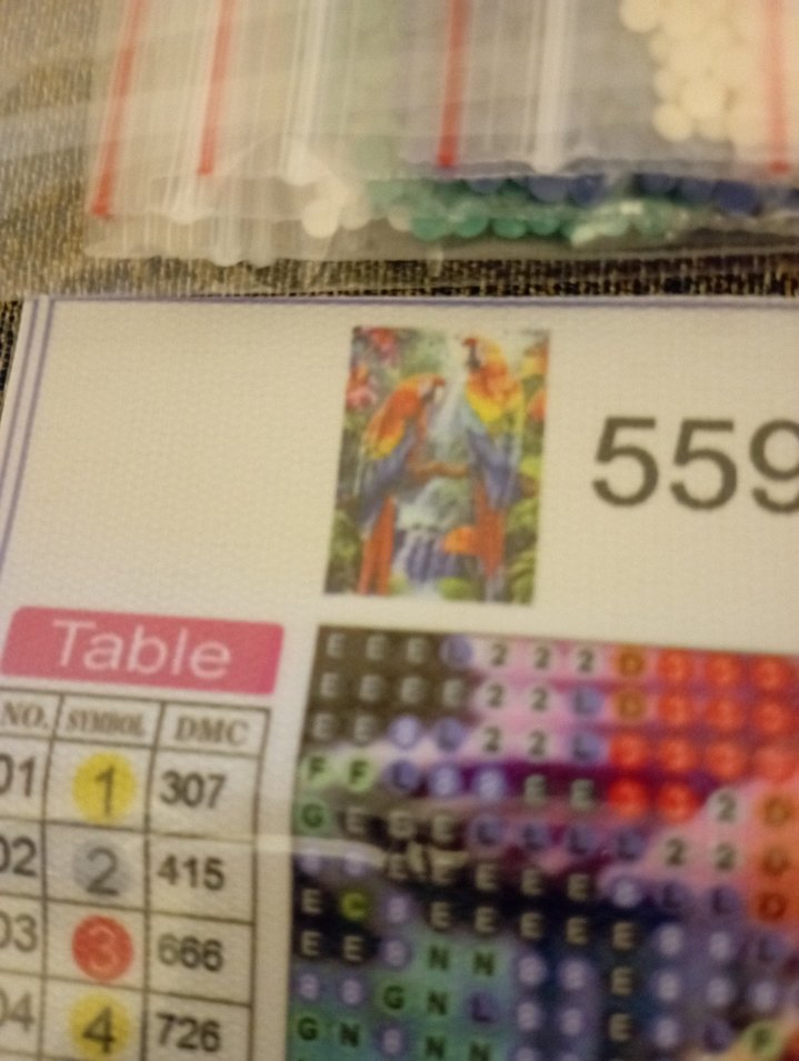 diamond painting (5DELMAS BOYAMASETI) - Görsel 2