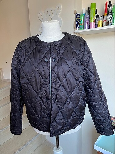 LC Waikiki Ceket mont