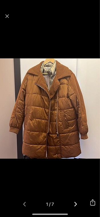 Koton mont