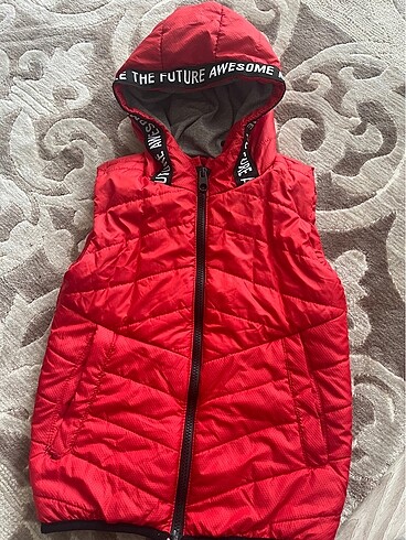 LC Waikiki Lcw yelek