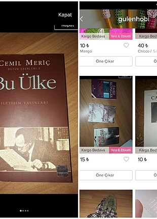 cemil meriç ülke
