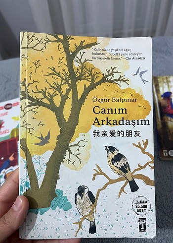 Canım Arkadaşım - Özgür Balpınar