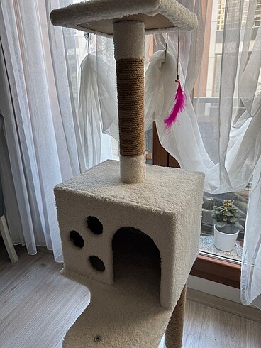  Beden Kedi evi
