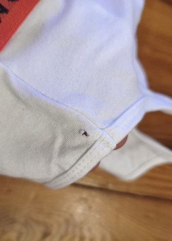 Tommy Hilfiger 3 lü set - Görsel 4