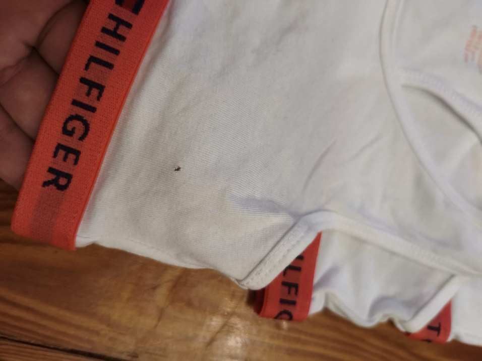 Tommy Hilfiger Beyaz Çocuk Atlet 4'lü - Görsel 5