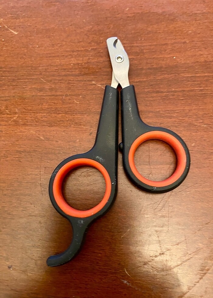 KEDİ, KÖPEK, KUŞ TIRNAK MAKASI - Görsel 3