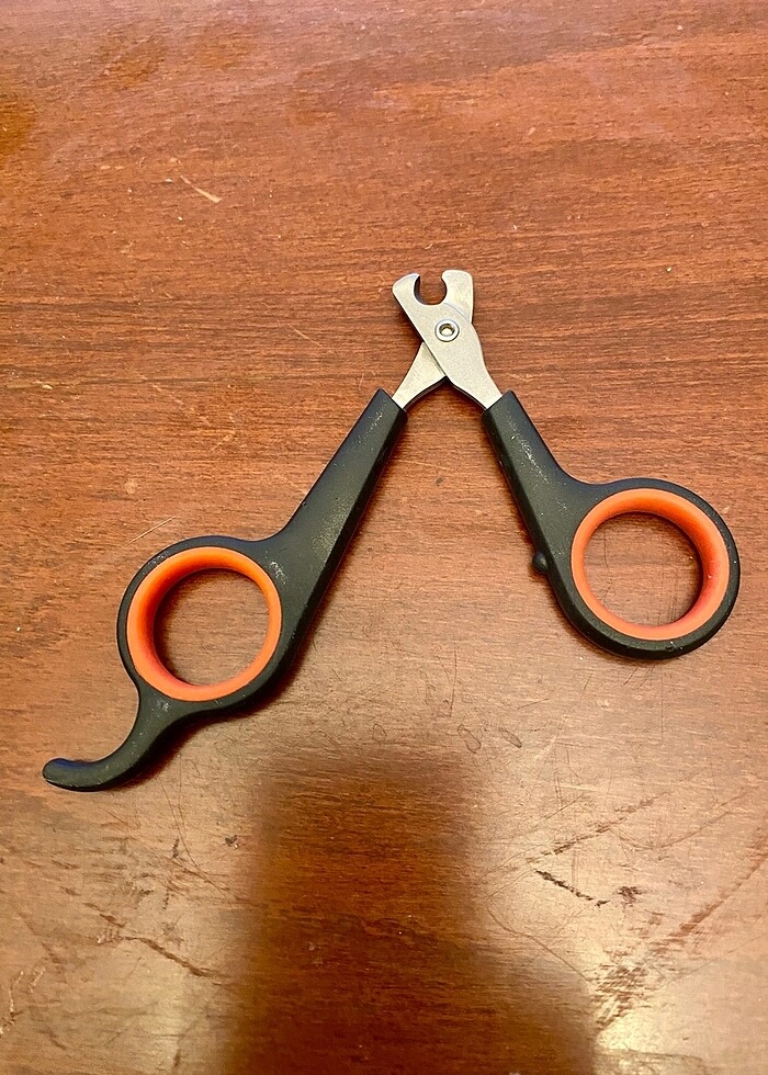 KEDİ, KÖPEK, KUŞ TIRNAK MAKASI - Görsel 5