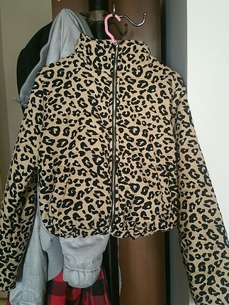 Leopar desen mont