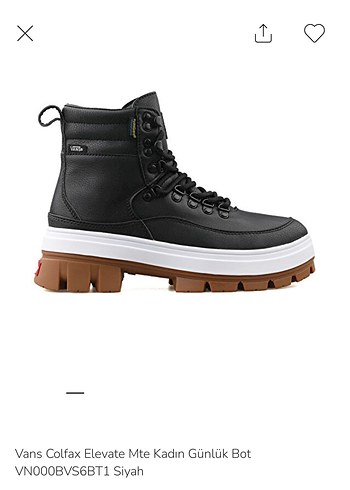 Vans Bot