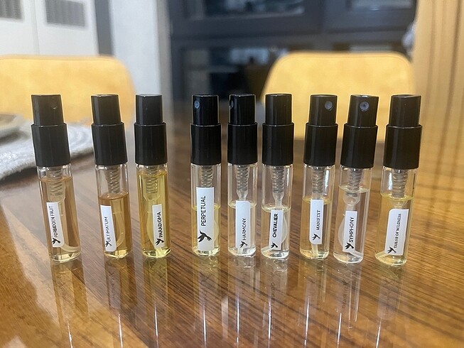  Beden Renk Gruccione set