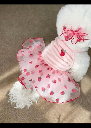 Beden Renk Nakışlı Fırfırlı Pembe Köpek Elbisesi S beden