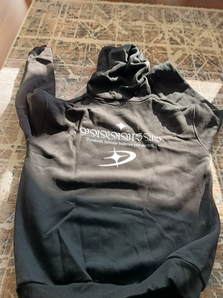 Kapüşonlu Siyah erkek Sweatshirt - Görsel 3