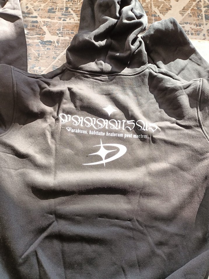 Kapüşonlu Siyah erkek Sweatshirt - Görsel 4