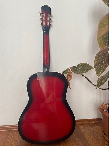  Beden Gitar