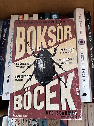 Boksör böcek