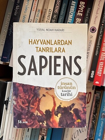 Hayvanlardan tanrılara sapiens